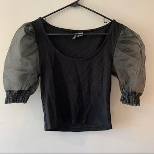 Divided Black Puffy Mesh Short Sleeved Top